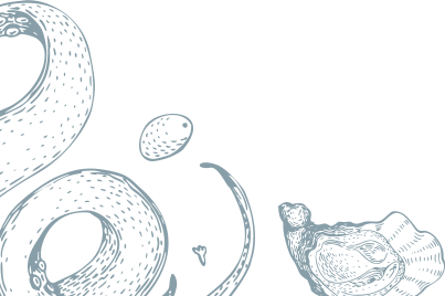 bg